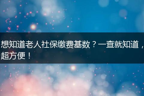 想知道老人社保缴费基数?一查就知道,超方便!