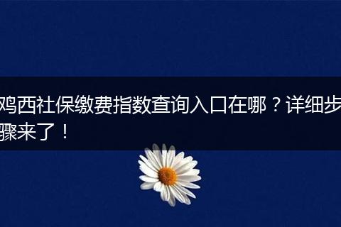鸡西社保缴费指数查询入口在哪？详细步骤来了！