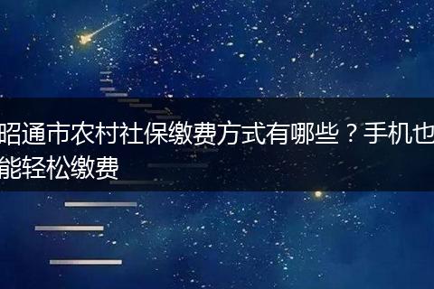 昭通市农村社保缴费方式有哪些？手机也能轻松缴费