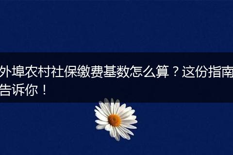 外埠农村社保缴费基数怎么算？这份指南告诉你！