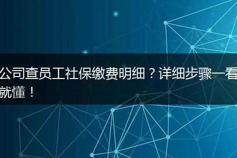 公司查员工社保缴费明细？详细步骤一看就懂！