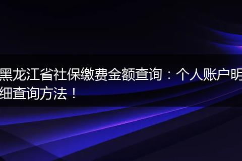 黑龙江省社保缴费金额查询:个人账户明细查询方法!