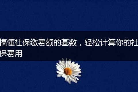 搞懂社保缴费额的基数,轻松计算你的社保费用