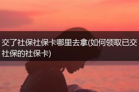 交了社保社保卡哪里去拿(如何领取已交社保的社保卡)