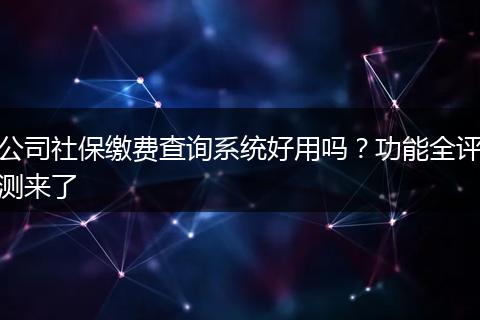 公司社保缴费查询系统好用吗？功能全评测来了