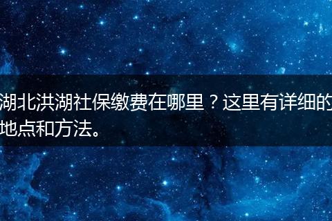 湖北洪湖社保缴费在哪里？这里有详细的地点和方法。