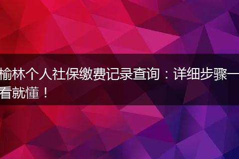 榆林个人社保缴费记录查询:详细步骤一看就懂!