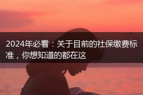 2024年必看：关于目前的社保缴费标准，你想知道的都在这