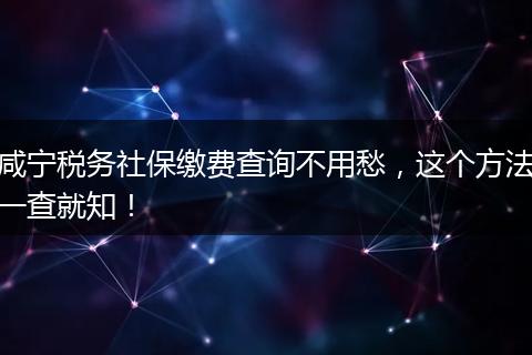 咸宁税务社保缴费查询不用愁，这个方法一查就知！