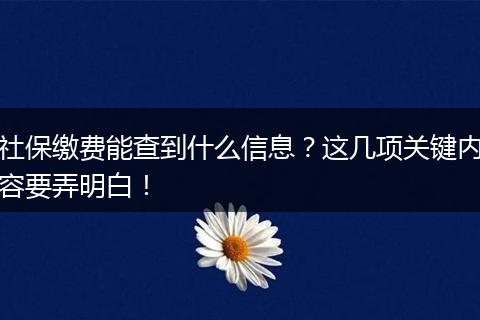 社保缴费能查到什么信息？这几项关键内容要弄明白！