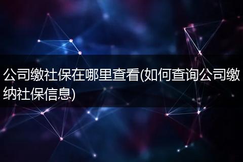 公司缴社保在哪里查看(如何查询公司缴纳社保信息)