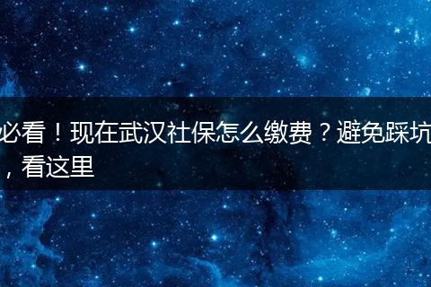 必看！现在武汉社保怎么缴费？避免踩坑，看这里