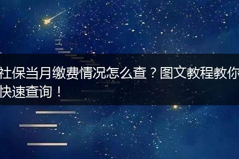 社保当月缴费情况怎么查？图文教程教你快速查询！