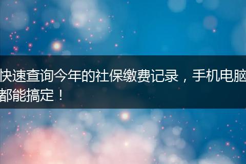 快速查询今年的社保缴费记录，手机电脑都能搞定！