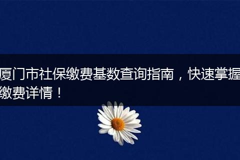 厦门市社保缴费基数查询指南，快速掌握缴费详情！
