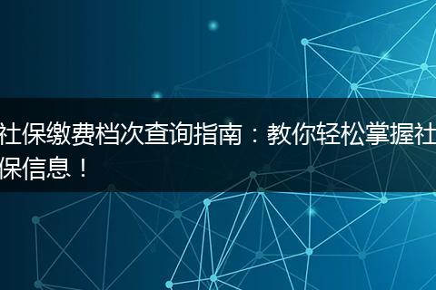 社保缴费档次查询指南：教你轻松掌握社保信息！