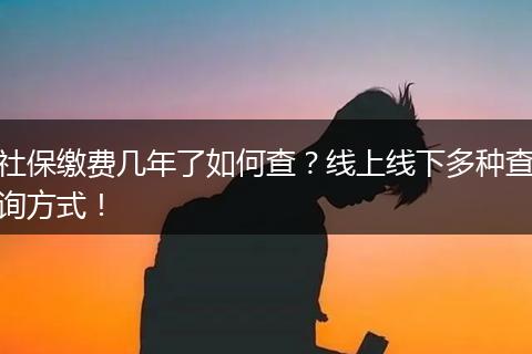 社保缴费几年了如何查？线上线下多种查询方式！