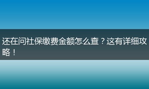 还在问社保缴费金额怎么查?这有详细攻略!