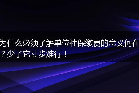 为什么必须了解单位社保缴费的意义何在？少了它寸步难行！