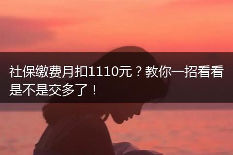 社保缴费月扣1110元？教你一招看看是不是交多了！