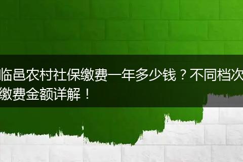临邑农村社保缴费一年多少钱？不同档次缴费金额详解！
