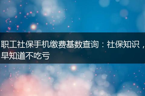 职工社保手机缴费基数查询：社保知识，早知道不吃亏