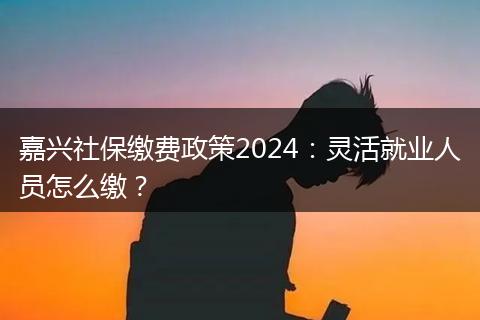 嘉兴社保缴费政策2024：灵活就业人员怎么缴？