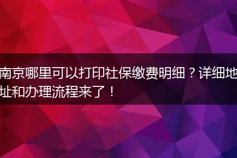 南京哪里可以打印社保缴费明细？详细地址和办理流程来了！