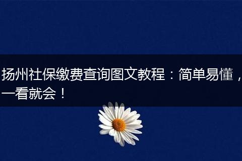扬州社保缴费查询图文教程：简单易懂，一看就会！