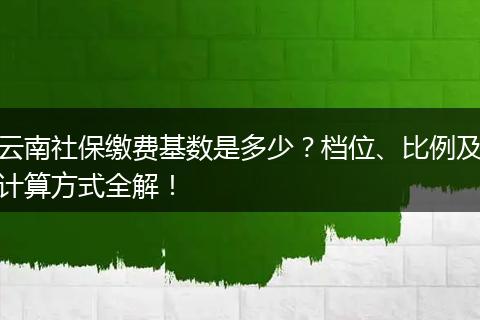云南社保缴费基数是多少？档位、比例及计算方式全解！