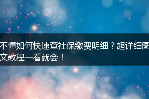 不懂如何快速查社保缴费明细？超详细图文教程一看就会！