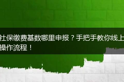 社保缴费基数哪里申报？手把手教你线上操作流程！
