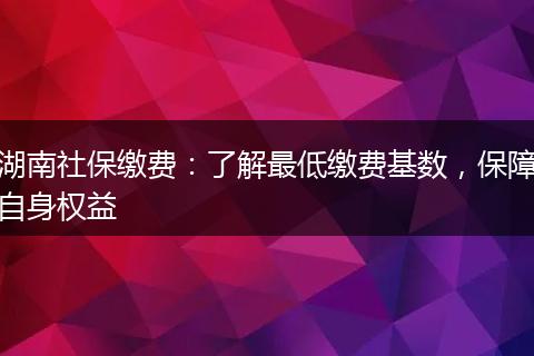 湖南社保缴费：了解最低缴费基数，保障自身权益