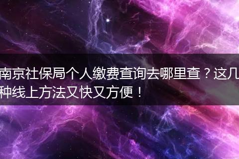 南京社保局个人缴费查询去哪里查？这几种线上方法又快又方便！