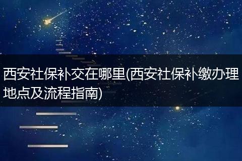 西安社保补交在哪里(西安社保补缴办理地点及流程指南)