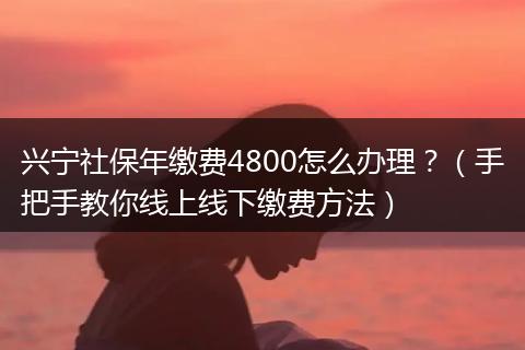 兴宁社保年缴费4800怎么办理？（手把手教你线上线下缴费方法）