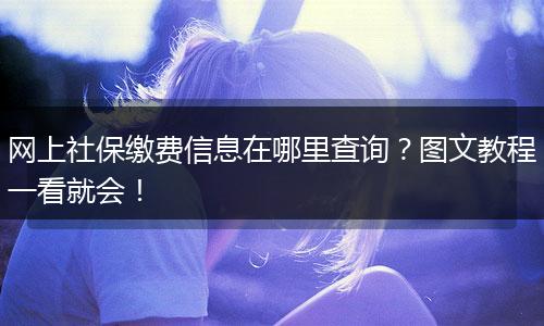 网上社保缴费信息在哪里查询？图文教程一看就会！