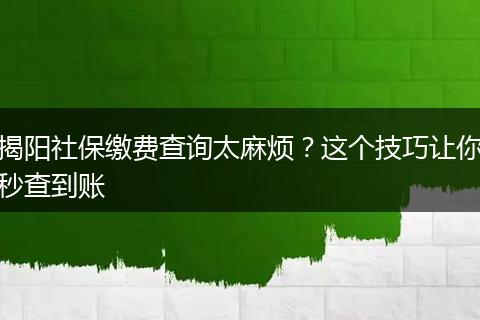 揭阳社保缴费查询太麻烦？这个技巧让你秒查到账