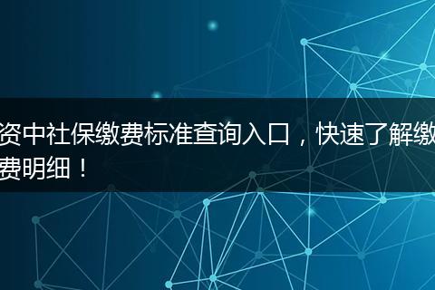 资中社保缴费标准查询入口，快速了解缴费明细！