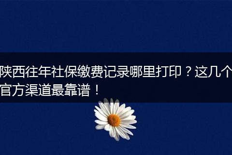 陕西往年社保缴费记录哪里打印？这几个官方渠道最靠谱！