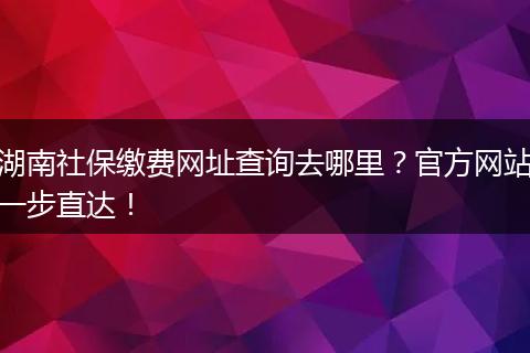 湖南社保缴费网址查询去哪里？官方网站一步直达！