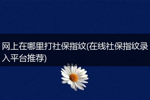网上在哪里打社保指纹(在线社保指纹录入平台推荐)
