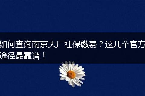 如何查询南京大厂社保缴费？这几个官方途径最靠谱！