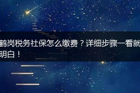 鹤岗税务社保怎么缴费？详细步骤一看就明白！
