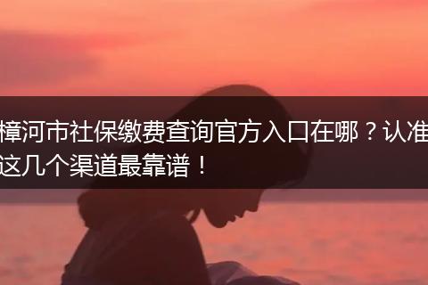 樟河市社保缴费查询官方入口在哪？认准这几个渠道最靠谱！