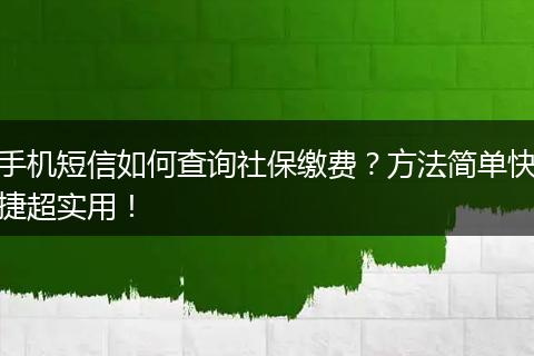 手机短信如何查询社保缴费？方法简单快捷超实用！
