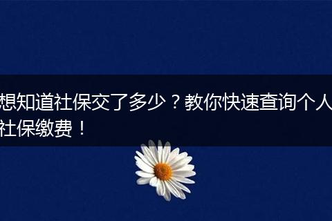 想知道社保交了多少?教你快速查询个人社保缴费!