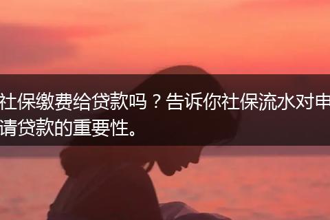社保缴费给贷款吗？告诉你社保流水对申请贷款的重要性。