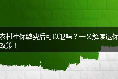 农村社保缴费后可以退吗?一文解读退保政策!