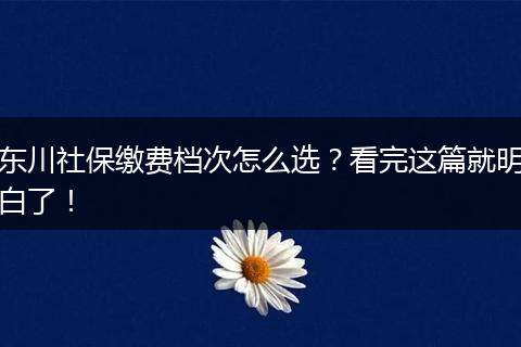 东川社保缴费档次怎么选?看完这篇就明白了!